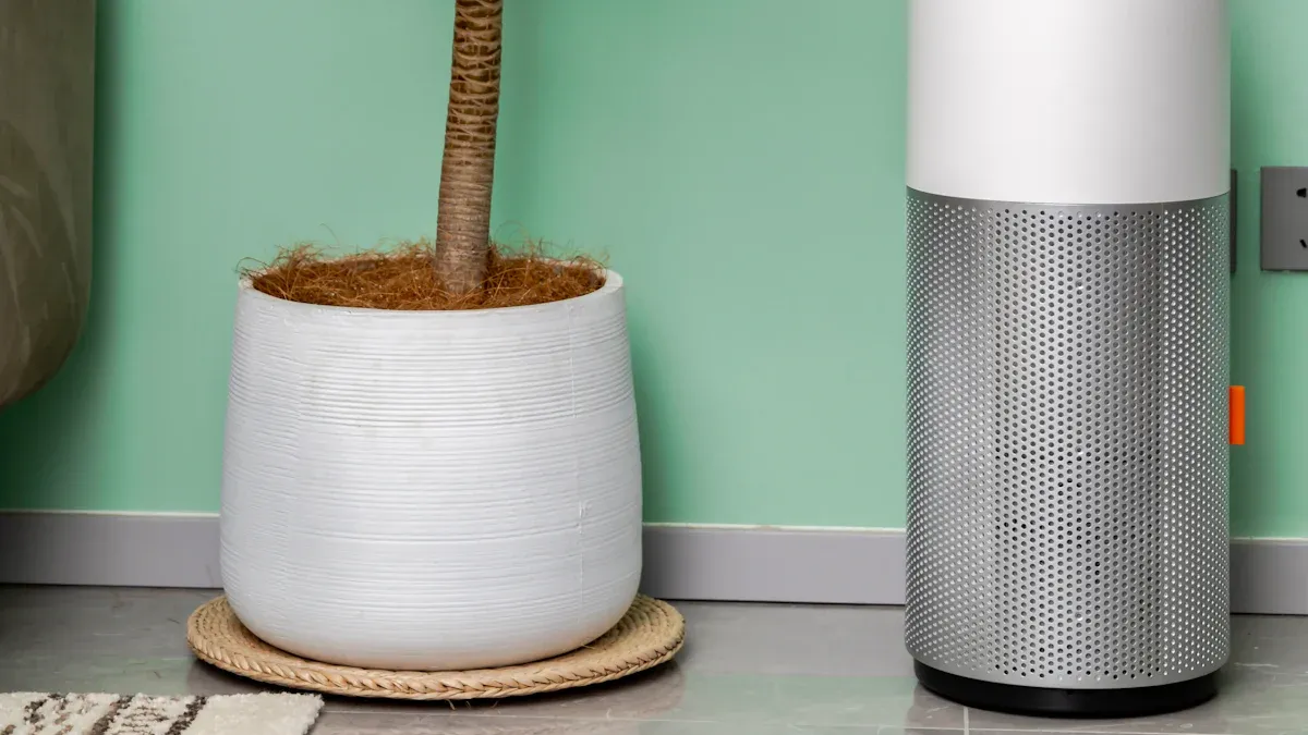 Air Purifiers vs Humidifiers