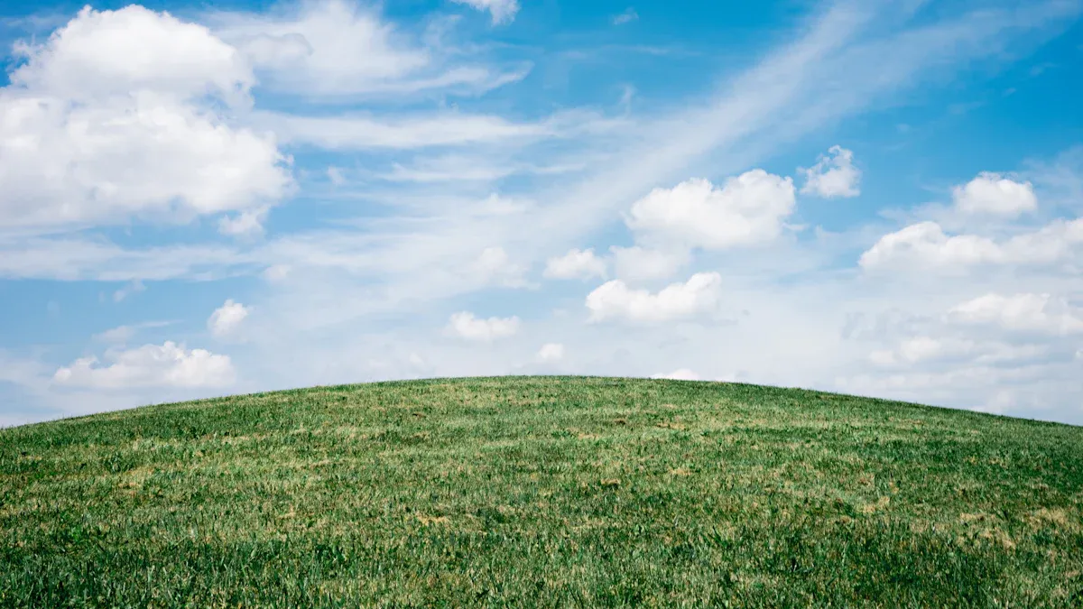 Air Purifier Benefits