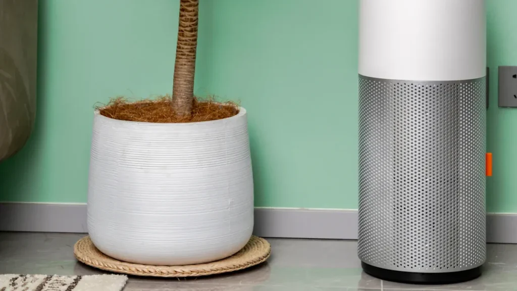 Inside the Air Purifier